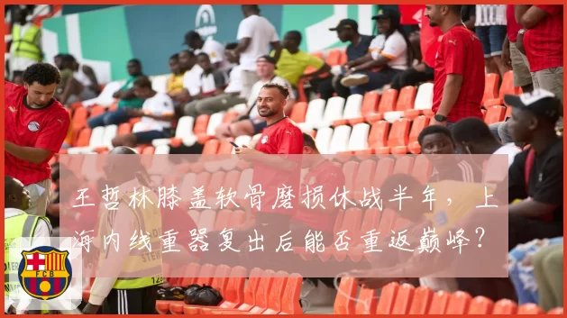 王哲林膝盖软骨磨损休战半年,上海内线重器复出后能否重返巅峰?