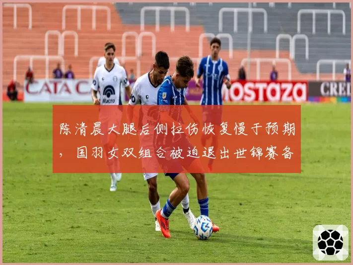 陈清晨大腿后侧拉伤恢复慢于预期,国羽女双组合被迫退出世锦赛备战