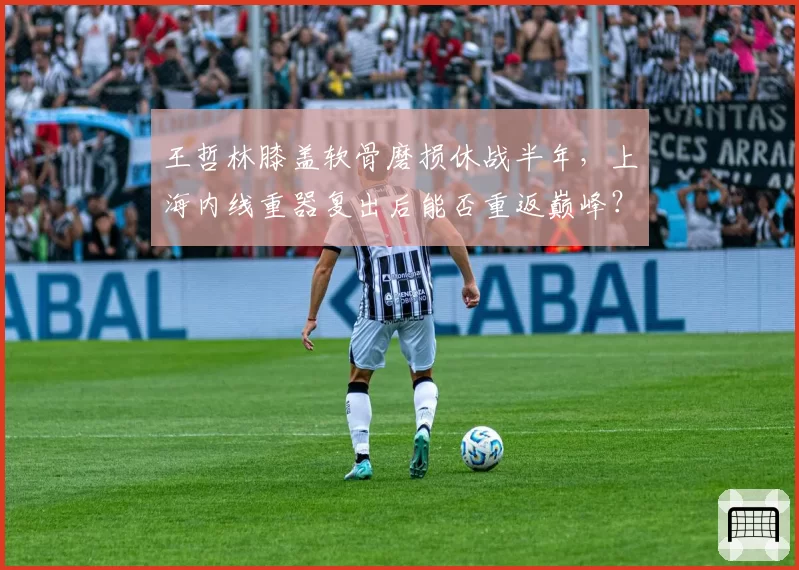 王哲林膝盖软骨磨损休战半年,上海内线重器复出后能否重返巅峰?