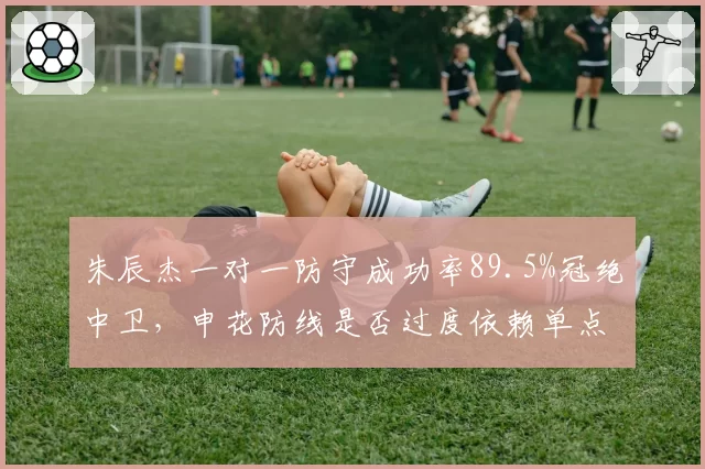 朱辰杰一对一防守成功率89.5%冠绝中卫,申花防线是否过度依赖单点缠斗