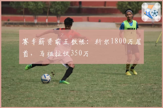 赛季薪资前五教练:科尔1800万居首,马祖拉仅350万