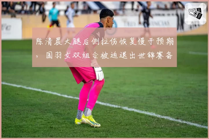 陈清晨大腿后侧拉伤恢复慢于预期,国羽女双组合被迫退出世锦赛备战