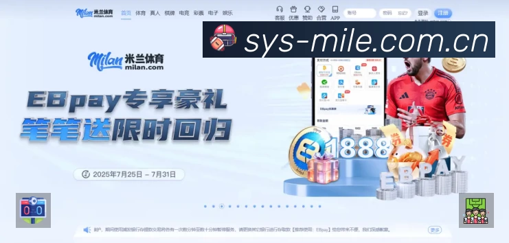 全球访问热力分布图